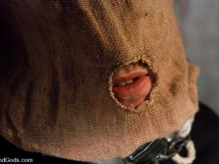 The Slaughterhouse: Part One The Head Butcher